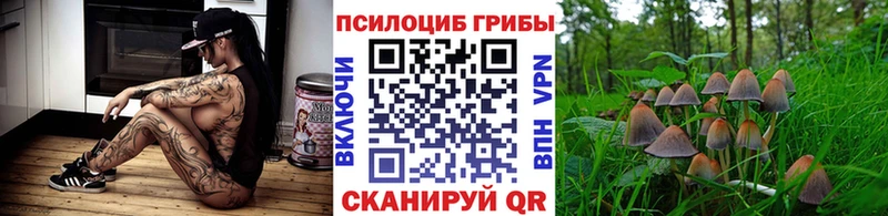 Купить  Ростов  Галлюциногенные грибы Cubensis 